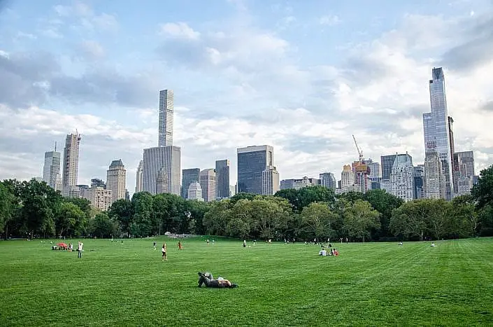 central park sheep meadow