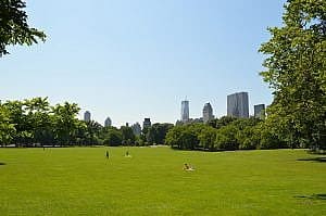 central park sheep meadow