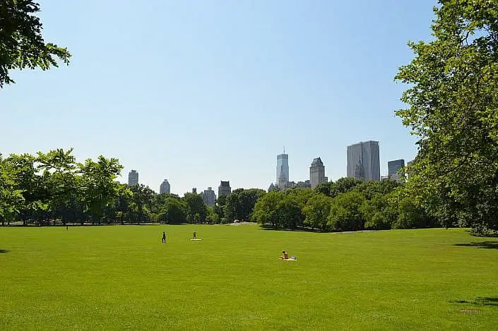 central park sheep meadow