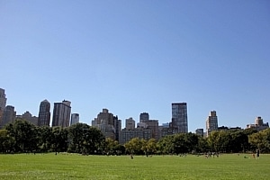 central park, new york, travel, park, city, place, newyork, clear, central park, central park, central park, central park, central park, newyork, newyork